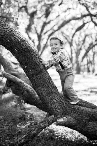 Matheson Hammock Family Photography Session