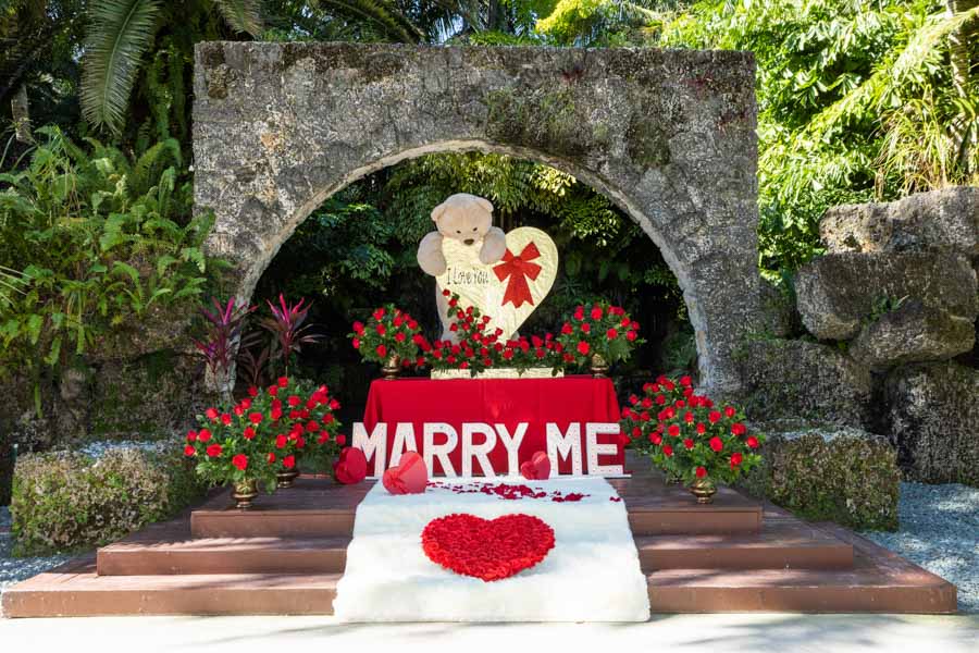 Surprise Proposal at the Secret Gardens Miami