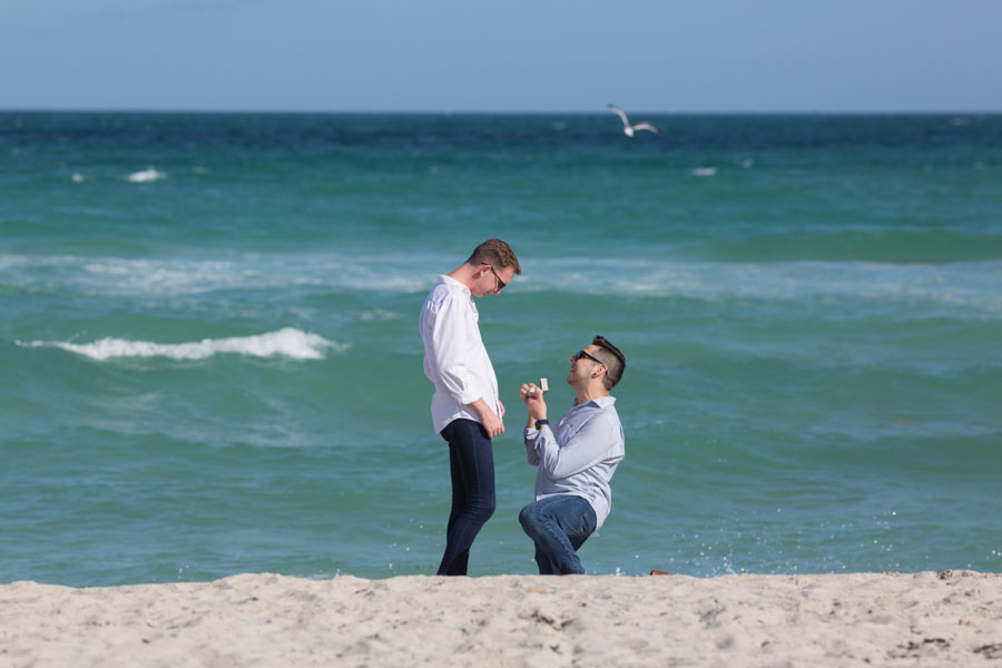 Surprise Proposal Miami