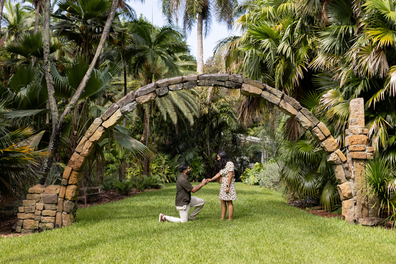Fairchild Tropical Botanic Garden Surprise Proposal
