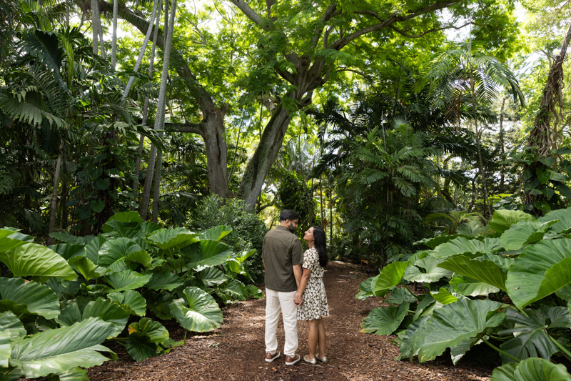 Fairchild Tropical Botanic Garden Surprise Proposal