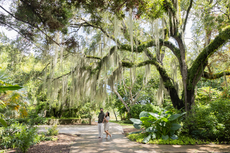 Fairchild Tropical Botanic Garden Surprise Proposal